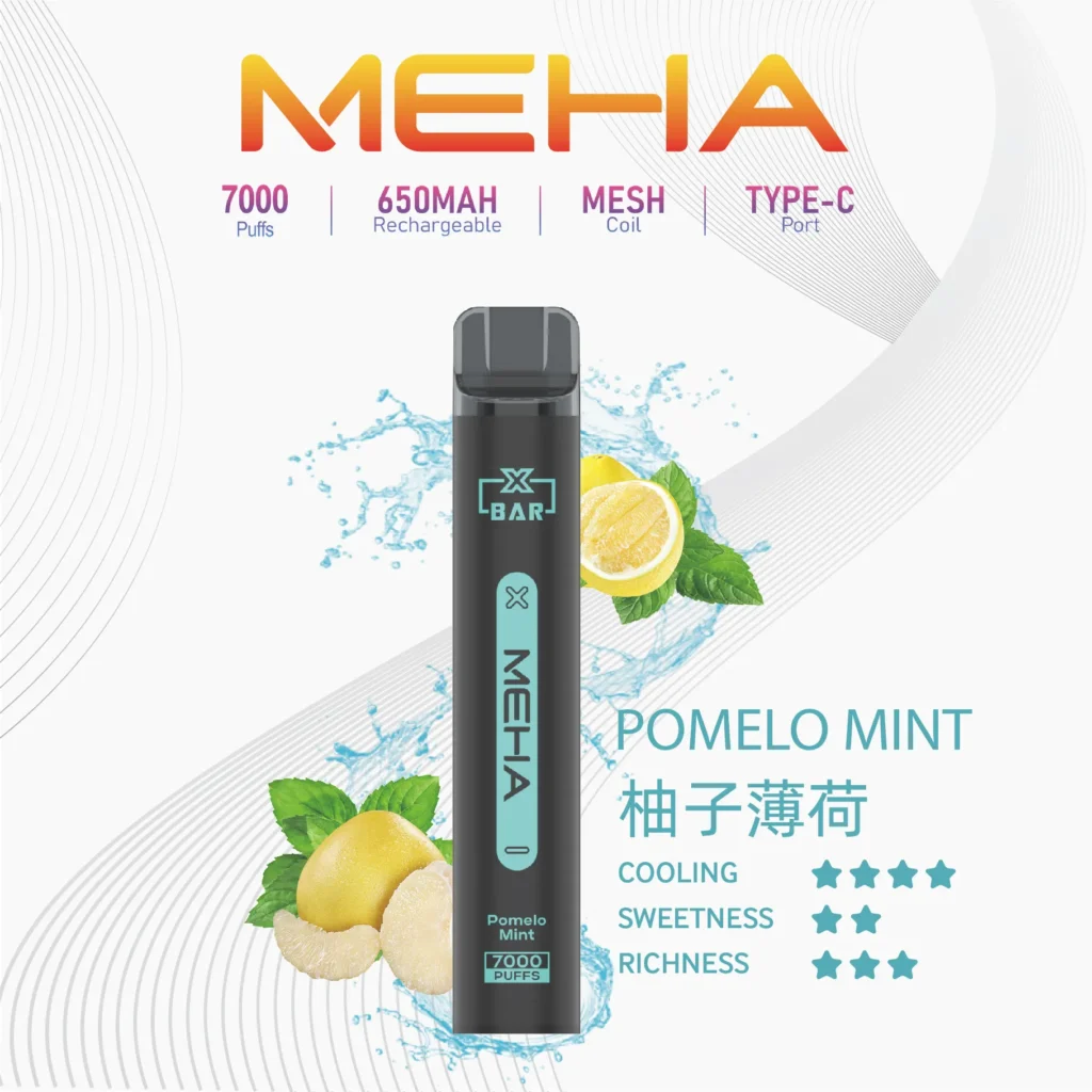MEHA VBar 7000口 薄荷